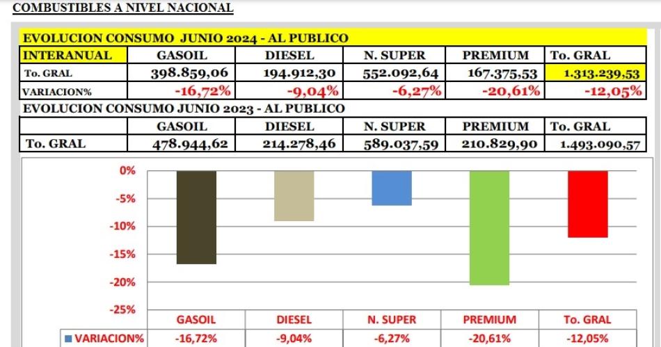 Combustibles- venta cae maacutes en Santiago que el promedio paiacutes en junio