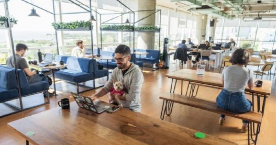 iquestCoacutemo las oficinas pet friendly cambian el entorno laboral