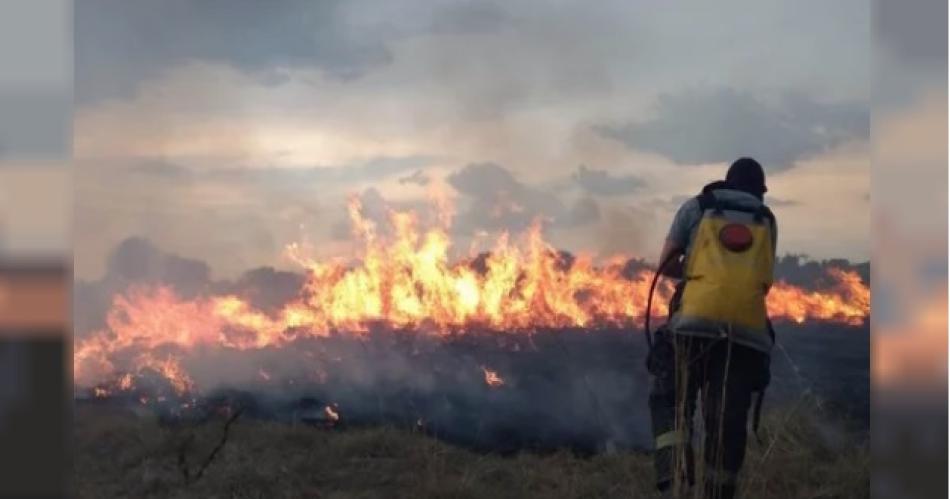 Desesperacioacuten por incendios en Tucumaacuten La Rioja y Corrientes- el Gobierno enviaraacute asistencia 