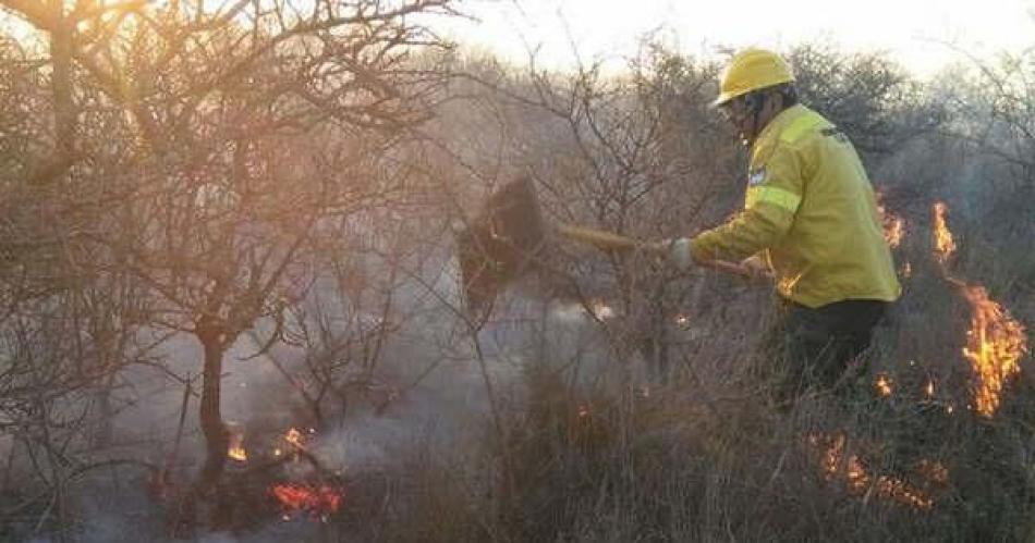 Alerta- No realizar quema indiscriminada de pastizales para evitar incendios de magnitud