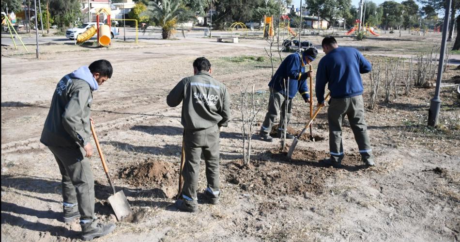 La Municipalidad realizoacute nuevas plantaciones de aacuterboles y arbustos en el Paseo Octavio Gauna