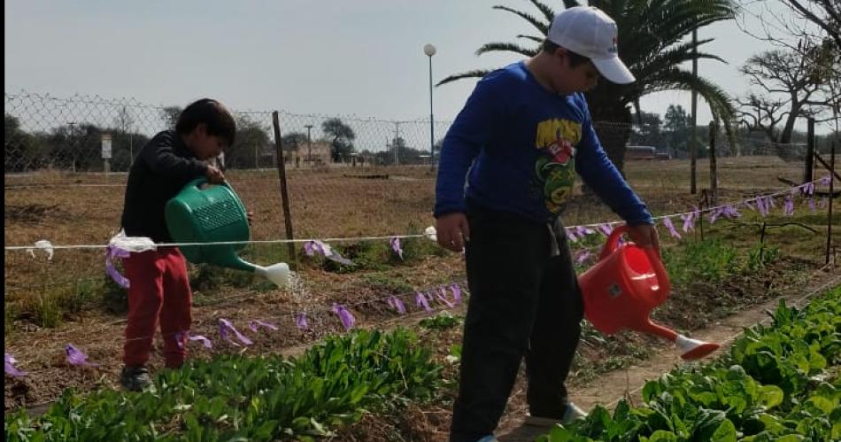 Exitosa experiencia de una huerta comunitaria y educativa en Malbraacuten