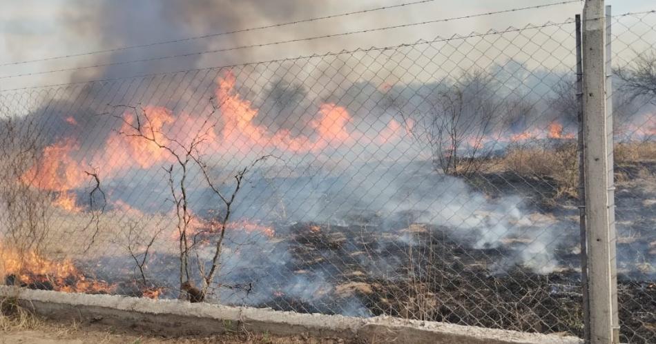 ESFUERZO Los bomberos tuvieron que desplegarse en el predio para atacar los diversos focos