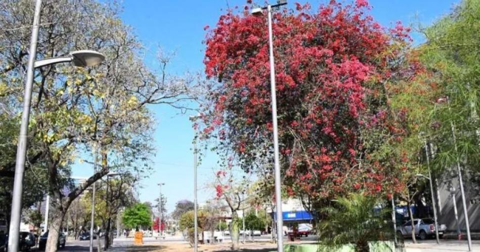 Santiago tendraacute un diacutea soleado pero ventoso- la maacutexima seraacute de 32deg