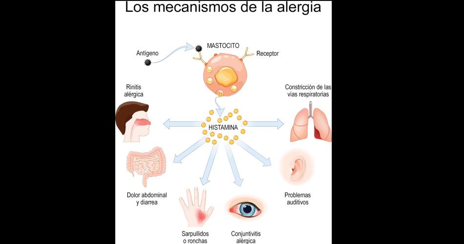 Piden evitar cambios bruscos de temperatura para prevenir las alergias propias de la estacioacuten