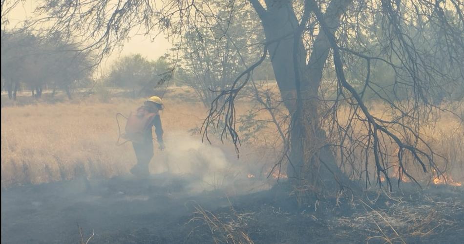 Siguen los incendios y los Bomberos insisten en tomar precauciones