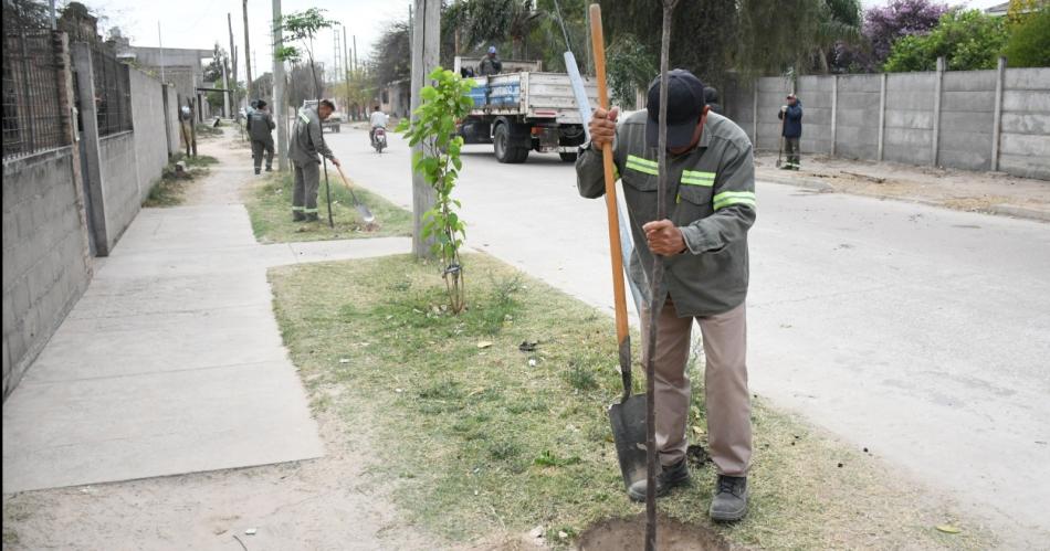 El programa de Arbolado Urbano inicioacute la plantacioacuten de maacutes de 3600 ejemplares en Don Bosco