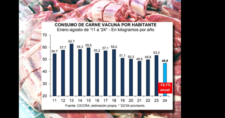 El consumo de carne vacuna sigue en baja y cayoacute a 469 kg en el antildeo