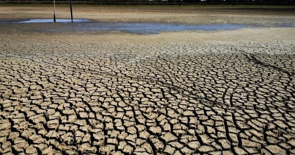 El fenoacutemeno climaacutetico La Nintildea llega a Argentina con la primavera- de queacute se trata