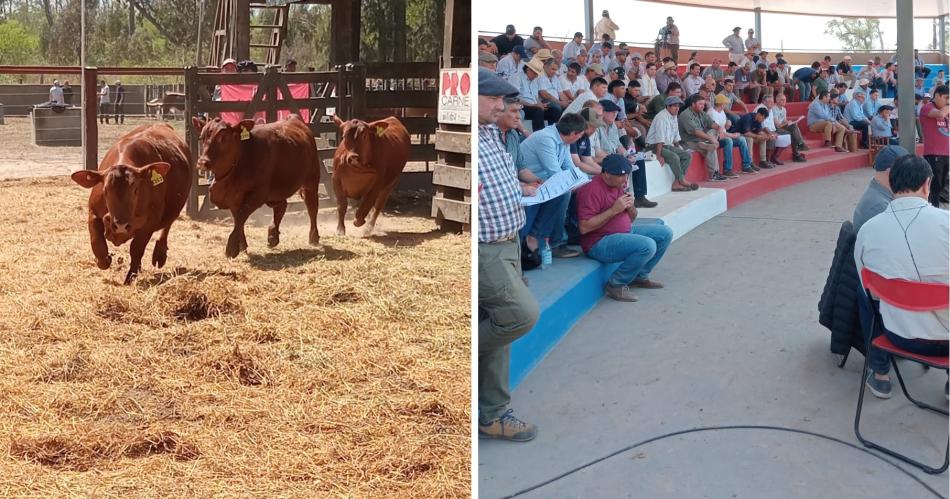 VIDEO  EL LIBERAL presente en la ExpoBRA 2024