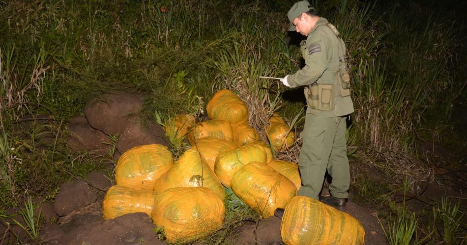 Gendarmes decomisaron 280 kilos de marihuana escondidos en la selva