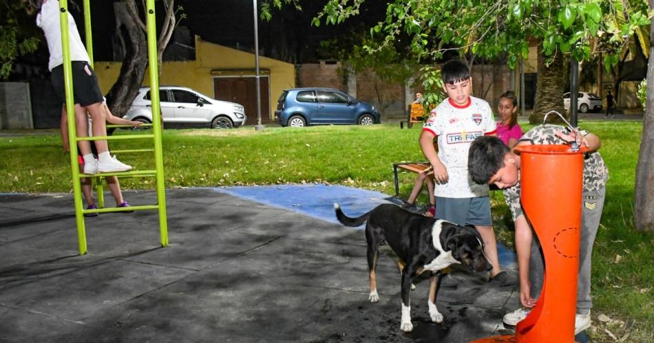 La Municipalidad incorporoacute bebederos para mascotas  ampliando el equipamiento en espacios verdes