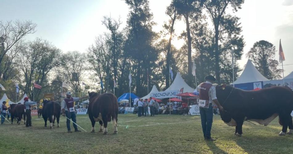 Eligieron los toros campeones y hoy seharaacute la apertura oficial