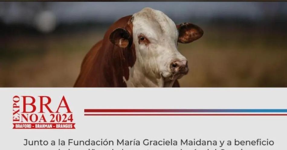 Remate en ExpoBra a beneficio de la Fundacioacuten Mariacutea Graciela Maidana