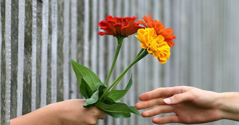 Diacutea de la Primavera- por queacute se regalan flores y queacute significan cada una de ellas