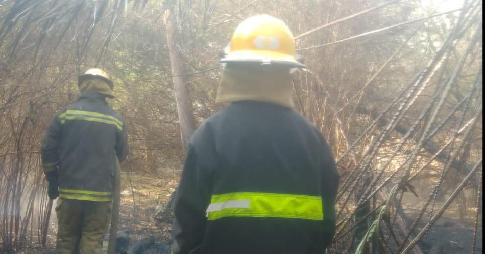 Se incendioacute una casa y el fuego alcanzoacute dos palmeras de residencias vecinas