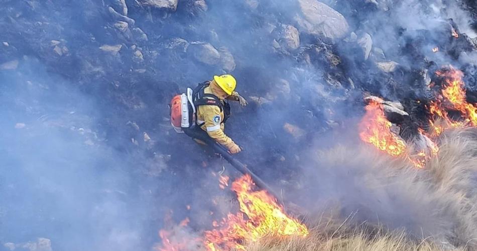 Imputan a hombre por agresioacuten a bomberos durante incendios en Coacuterdoba