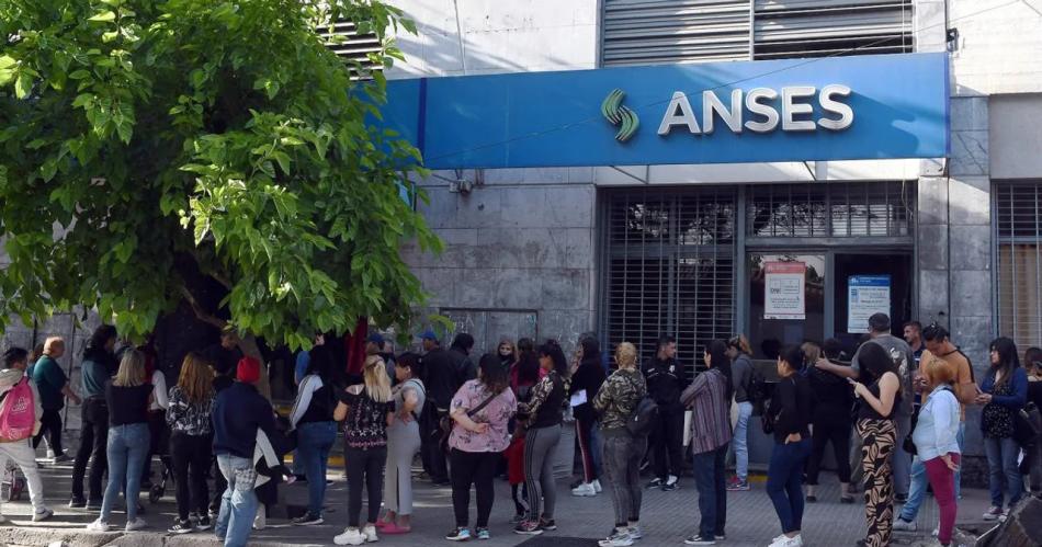 Desbaratan a una organizacioacuten que vendiacutea formularios falsos ante Anses