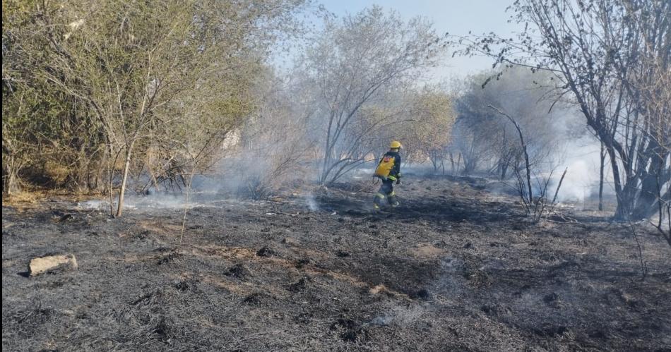 Incendio forestal amenazoacute a numerosas fincas y animales