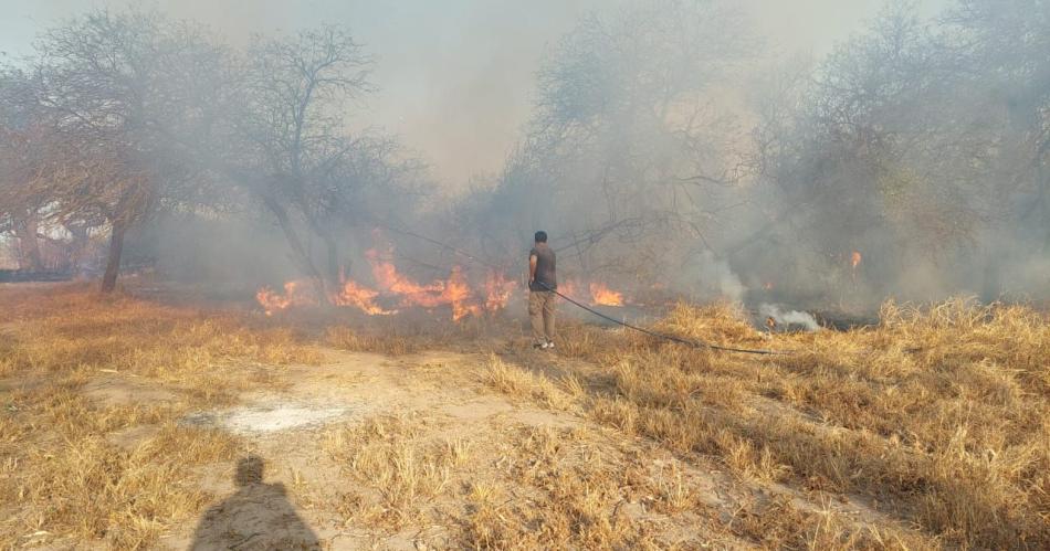 La Facultad de Ciencias Forestales perdioacute cinco hectaacutereas de bosque en un incendio