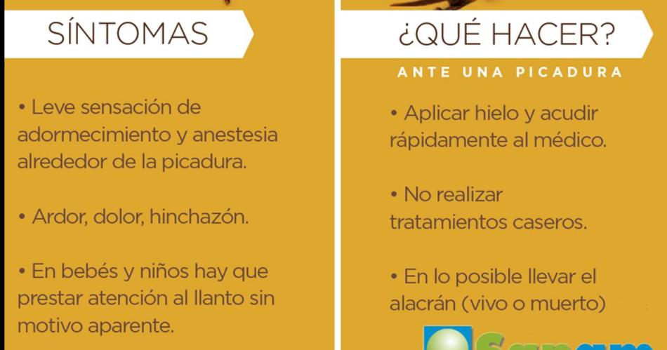 Dolor en Santiago- un nene de 7 antildeos fallecioacute como consecuencia de picadura de alacraacuten