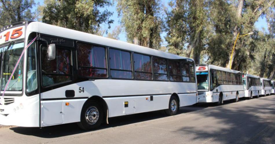 Gremios del transporte anunciaron un paro de 24 horas- cuaacutendo seraacute 