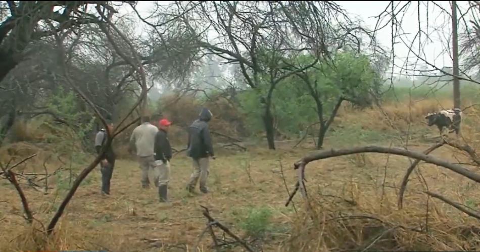 Roban 16 vacunos de la UNSE y descubren que 5 de ellos fueron faenados en un campo a 500 metros