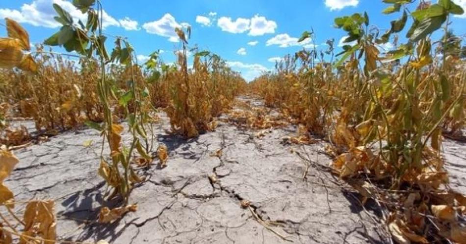 Seguacuten un informe La Nintildea impactaraacute con fuerza en Argentina- sequiacuteas y bajas precipitaciones