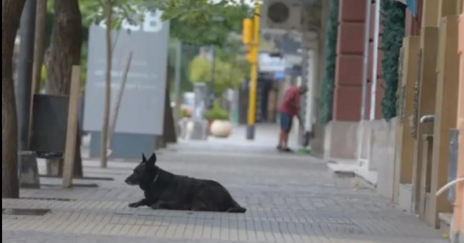 El calor y la humedad seraacuten los protagonistas del mieacutercoles en Santiago