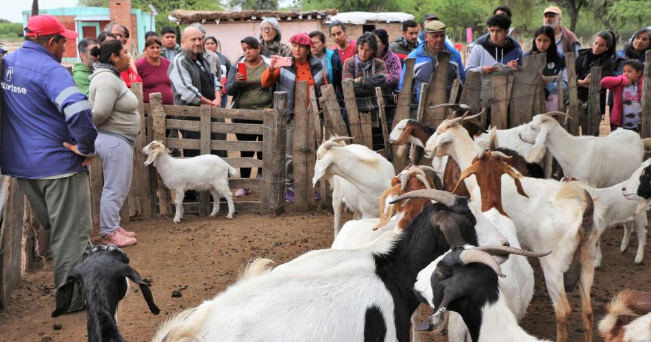 Antildeatuya recibe desde hoy a las II Jornadas sobre Ganaderiacutea Caprina