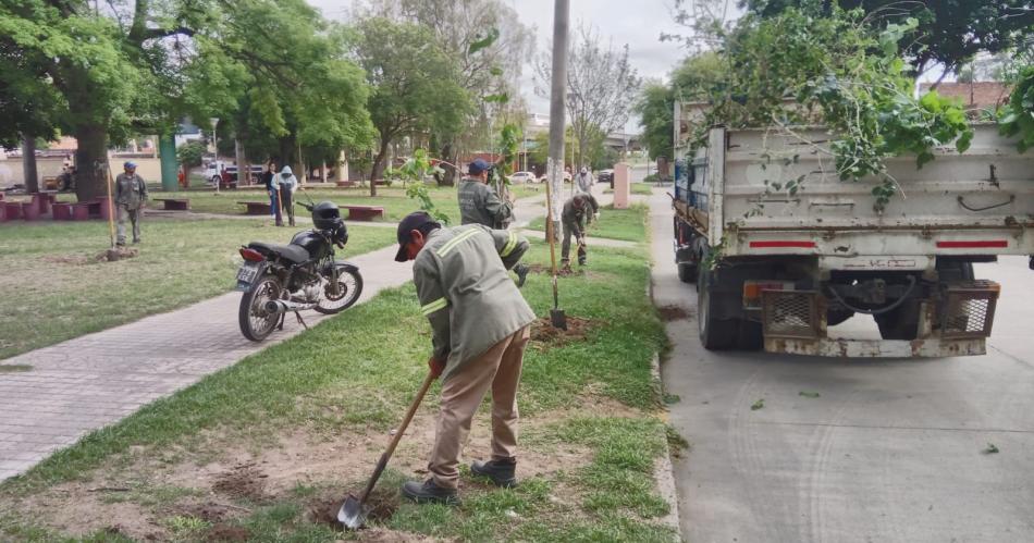 La Capital comenzoacute la plantacioacuten de maacutes de 4000 aacuterboles en el barrio Juan XXIII