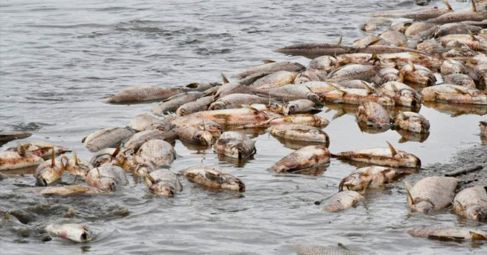 Tucumaacuten y Santiago se reuacutenen por vuelco contaminante en El Palomar