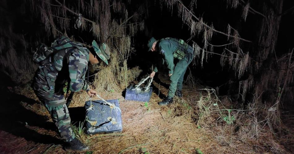 Misterio- GNA descubre maacutes de 136 kilos de marihuana entre la vegetacioacuten