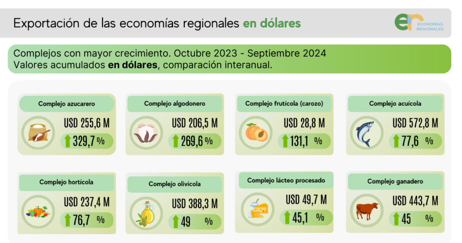 Exportaciones de economiacuteas regionales argentinas crecen un 29-en-porciento- en septiembre