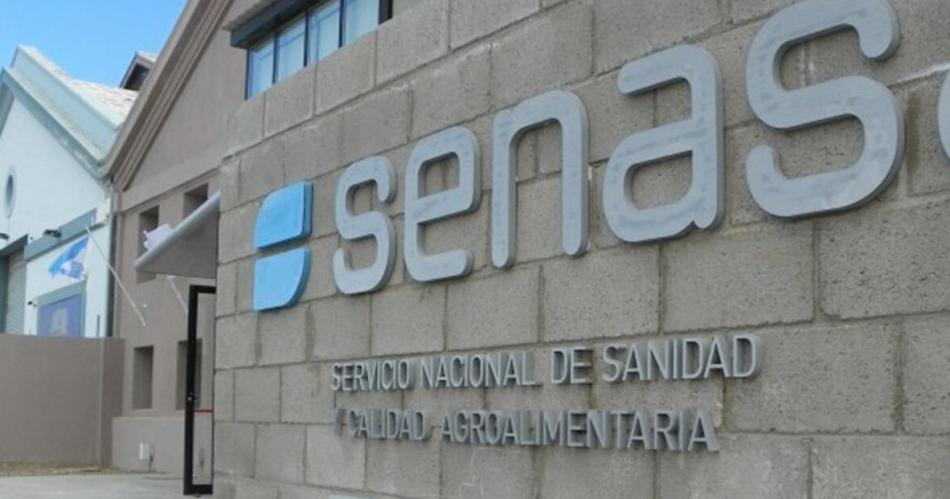 Renuncioacute el Coordinador General de Piensos y Granarios del SENASA tras cuatro antildeos en el cargo