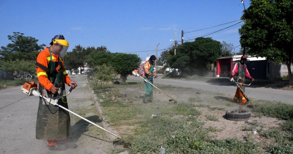 La Municipalidad continuacutea con el desmalezamiento en espacios verdes y en tramos de avenidas