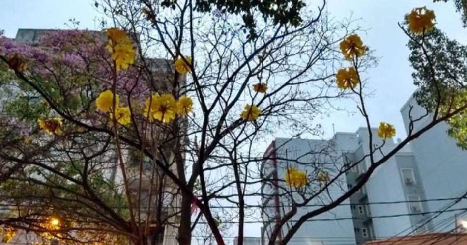 Tras la lluvia iquestcoacutemo seguiraacute el tiempo en Santiago durante este viernes