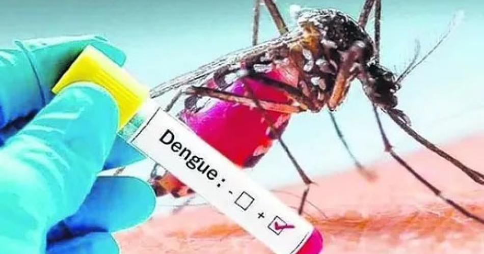 Dengue- en varias provincias los casos autoacutectonos se adelantaron con respecto al antildeo pasado