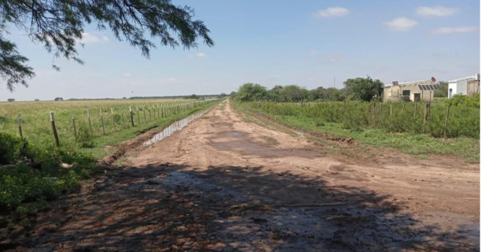 Denuncian problemas de salud y ambientales por fumigacioacuten aeacuterea