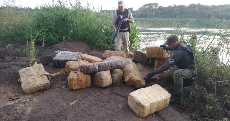 Incautan casi una tonelada de marihuana en Misiones durante operativo fronterizo