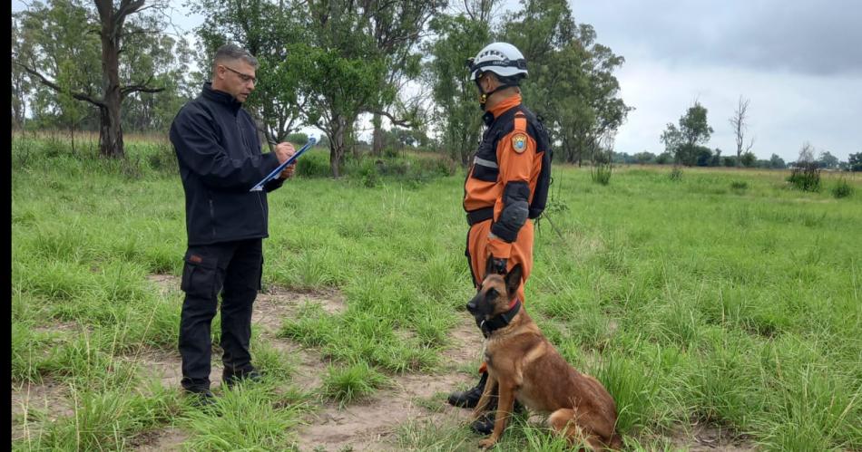 Competencia internacional- los perros del Departamento k-9 llegaron a los primeros puestos