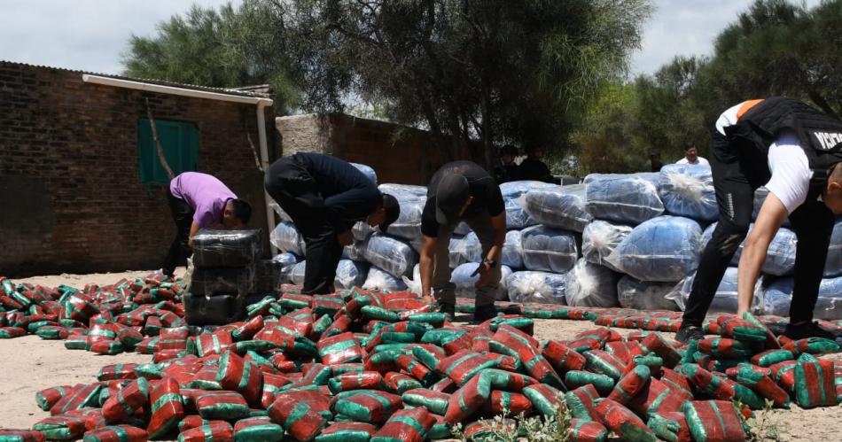 Excarcelan a los 10 acusados de huir con 3 mil kilos de hoja de coca