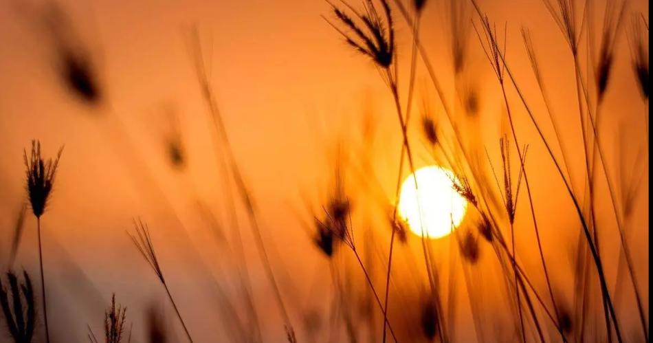 Con el solsticio de verano llega hoy el diacutea maacutes largo del antildeo- de queacute se trata