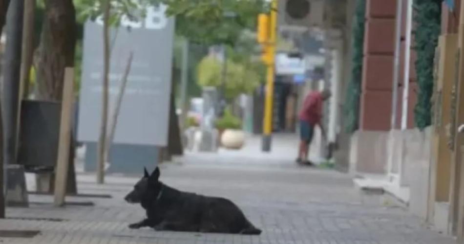 Santiago tendraacute un domingo de calorcito con 33deg de maacutexima 