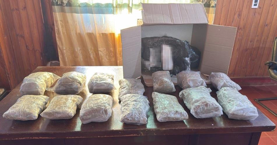 Hallan maacutes de 67 kilos de marihuana dentro de encomiendas y acondicionados en neumaacuteticos