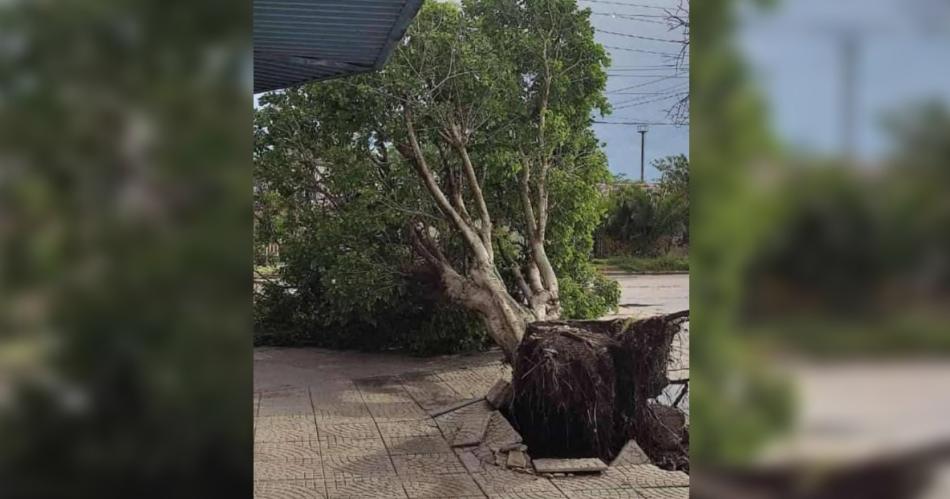 Temporal de viento y lluvia afectoacute el sudeste santiaguentildeo