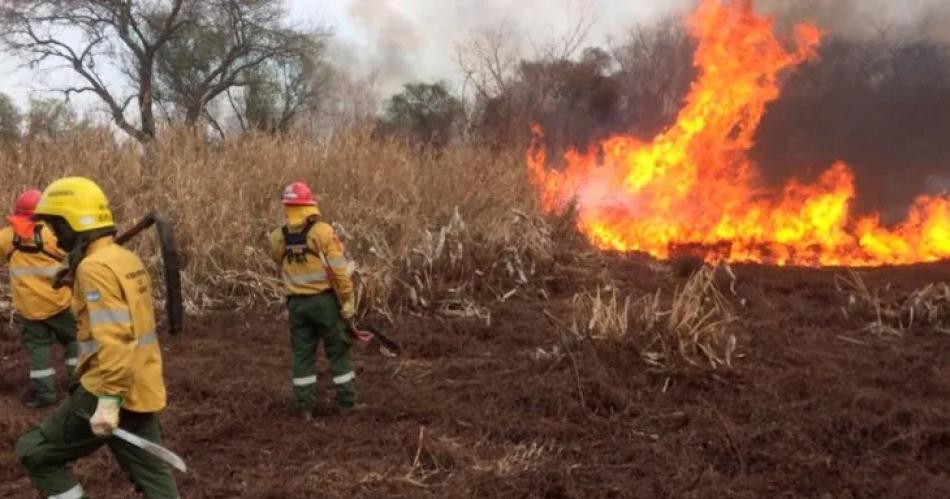 Lamentable- los incendios forestales ya consumieron 1500 hectaacutereas del Parque Nacional Nahuel Huapi