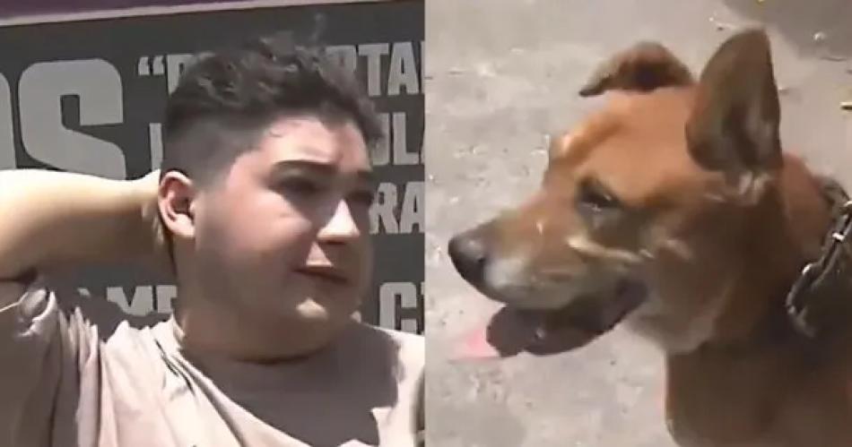 VIDEO  El desesperado pedido de un joven para que adopten a su perro tras un desalojo