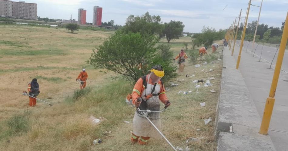 Personal municipal de la Capital continuacutea su programa de refuerzo de desmalezamiento