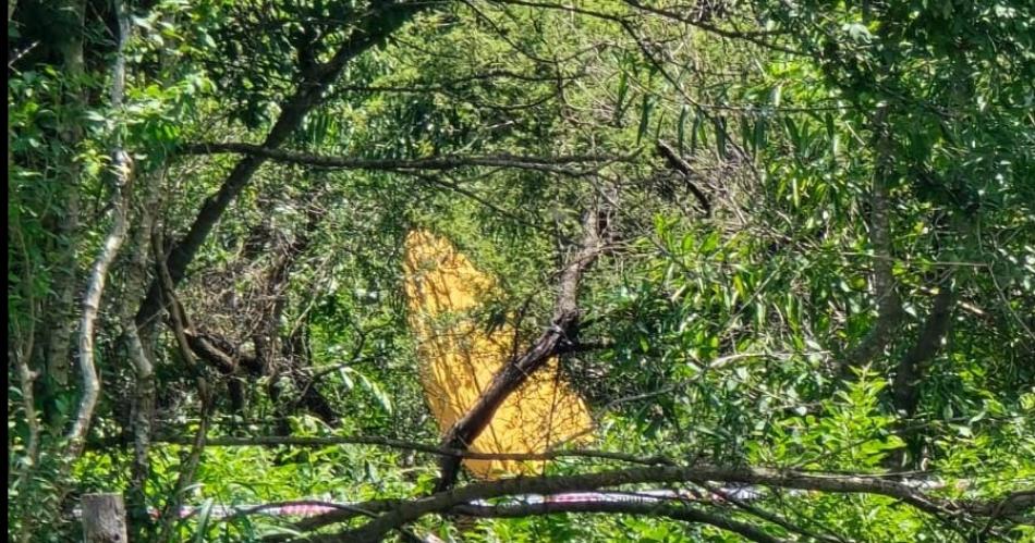 La avioneta del Circo Rodas con sus pilotos se precipitoacute en Salta